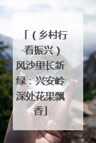 （乡村行·看振兴）风沙里长新绿：兴安岭深处花果飘香
