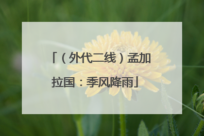 （外代二线）孟加拉国：季风降雨