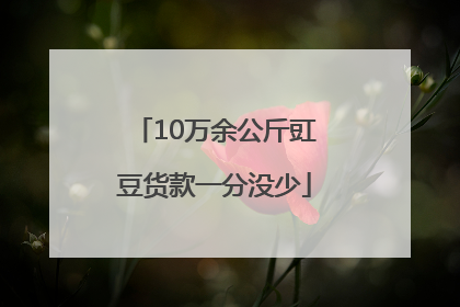 10万余公斤豇豆货款一分没少