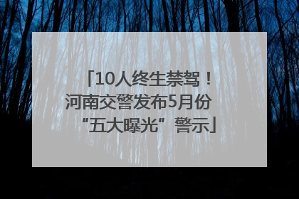10人终生禁驾！河南交警发布5月份“五大曝光”警示