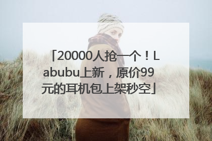 20000人抢一个！Labubu上新，原价99元的耳机包上架秒空