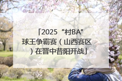 2025“村BA”球王争霸赛（山西赛区）在晋中昔阳开战