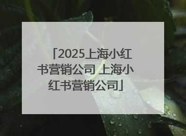2025上海小红书营销公司 上海小红书营销公司