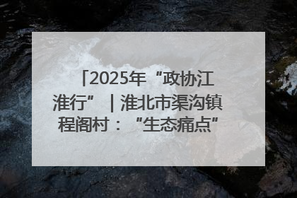 2025年“政协江淮行”｜淮北市渠沟镇程阁村：“生态痛点”变“生态景观”