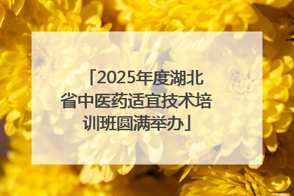 2025年度湖北省中医药适宜技术培训班圆满举办