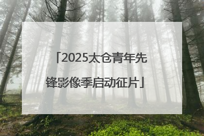 2025太仓青年先锋影像季启动征片