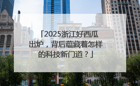 2025浙江好西瓜出炉，背后蕴藏着怎样的科技新门道？