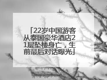 22岁中国游客从泰国豪华酒店21层坠楼身亡，生前最后对话曝光