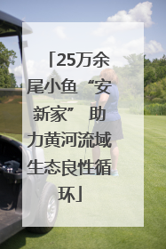 25万余尾小鱼“安新家” 助力黄河流域生态良性循环