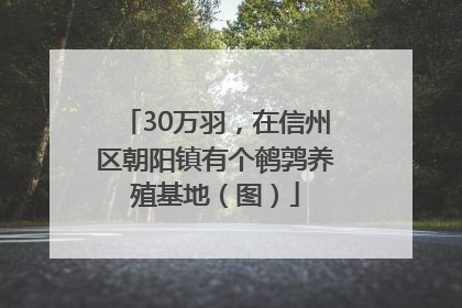 30万羽，在信州区朝阳镇有个鹌鹑养殖基地（图）
