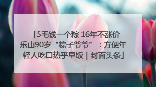 5毛钱一个粽 16年不涨价 乐山90岁“粽子爷爷”：方便年轻人吃口热乎早饭｜封面头条