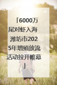 6000万尾对虾入海 潍坊市2025年增殖放流活动拉开帷幕