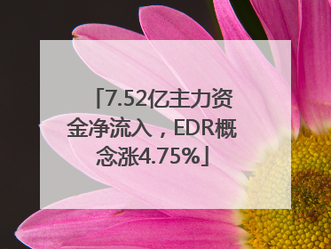 7.52亿主力资金净流入，EDR概念涨4.75%