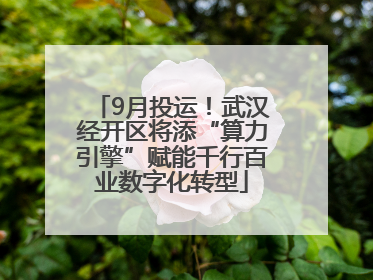 9月投运！武汉经开区将添“算力引擎”赋能千行百业数字化转型