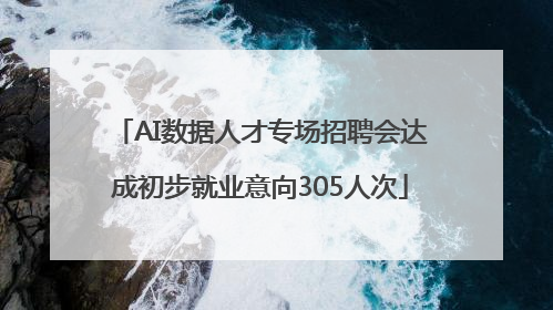 AI数据人才专场招聘会达成初步就业意向305人次