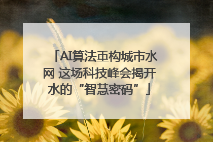AI算法重构城市水网 这场科技峰会揭开水的“智慧密码”