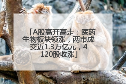 A股高开高走：医药生物板块领涨，两市成交近1.3万亿元，4120股收涨