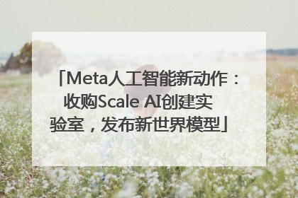 Meta人工智能新动作：收购Scale AI创建实验室，发布新世界模型