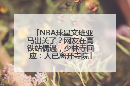 NBA球星文班亚马出关了？网友在高铁站偶遇，少林寺回应：人已离开寺院